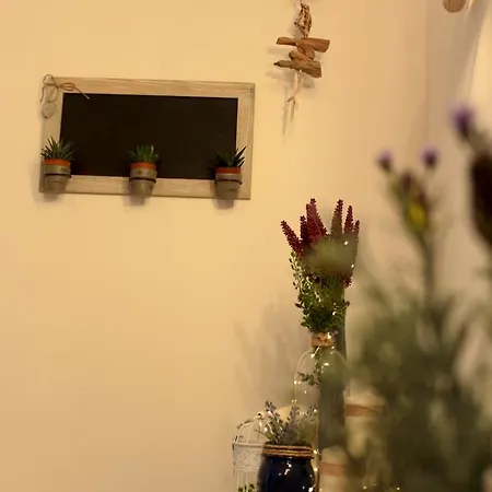 Deshome Guest house *